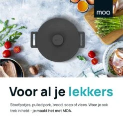 MOA Gietijzeren Braadpan - Inhoud 7,1 Liter - 29CM - Rond - Alle Warmtebronnen - Ook Voor Inductie - Gewicht 7,6 Kg - Zwart - MC29B -PannenPunt Aanbiedingen Winkel 1200x1200 1404