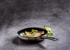 BK Allround Koekenpan Ø 24 Cm - Inductie - PFAS-vrij -PannenPunt Aanbiedingen Winkel 1200x851 6