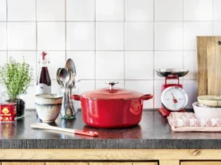 BK Bourgogne Braadpan Ø 24 Cm - Rood - Gietijzer - Inductie -PannenPunt Aanbiedingen Winkel 1200x901 9
