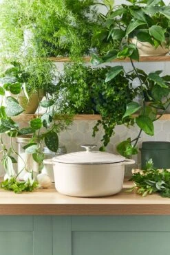 Tefal LOV Braadpan - 5L - Ø25 Cm - Beige 24 Tefal LOV Braadpan - 5L - Ø25 Cm - Beige -PannenPunt Aanbiedingen Winkel 800x1200 25